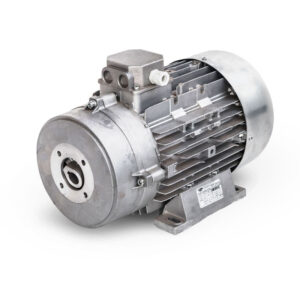 Professional Electric Motor Mazzoni MEC132 (2.081.12.002)