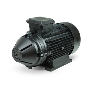 Professional Electric Motor Mazzoni MEC160 (2.081.12.030)