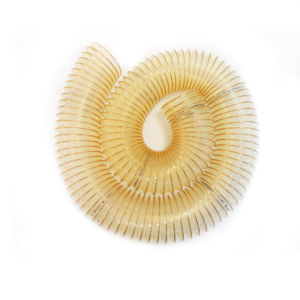 Flexible Suction Hose CARFON OPEN D.102 2m (RIP6113)